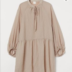 H&M Balloon Sleeve Dress